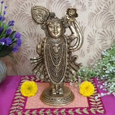 Novrla Lord Shrinathji Brass Idol