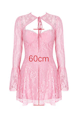 Alice Pink Lace Mini Dress